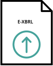 E-XBRL